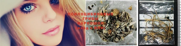 прущие грибы Алзамай