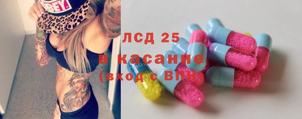 прущие грибы Алзамай