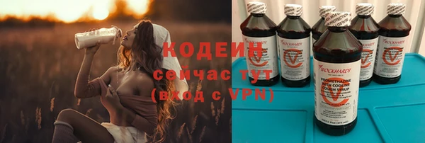 прущие грибы Алзамай