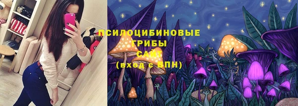 героин Алексин